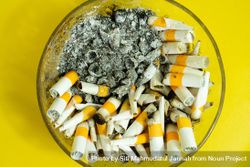 Top view of ash and cigarette butts in ash tray 5oDEmG