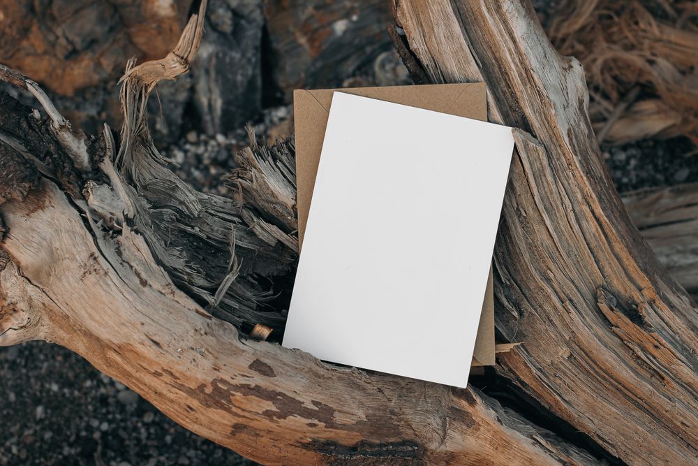 Summer, seashore blank greeting card mock up with craft envelope and drift wood