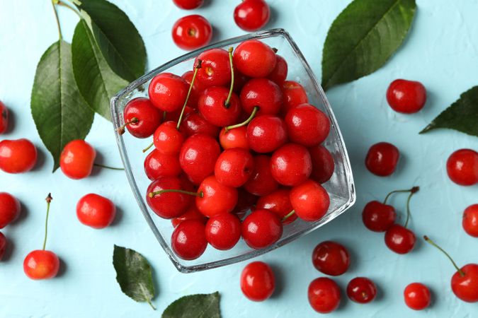 Bowl with red cherry on blue background, top view