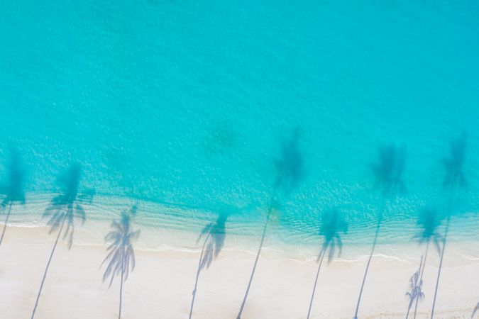 Dreamy palm tree shadows against tropical beach