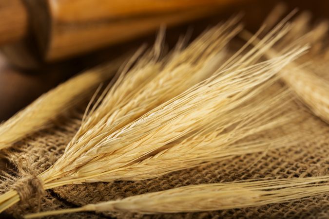 Ears of wheat on wooden background.