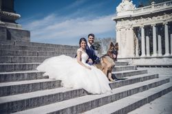 Smiling newlyweds with dog sitting on steps