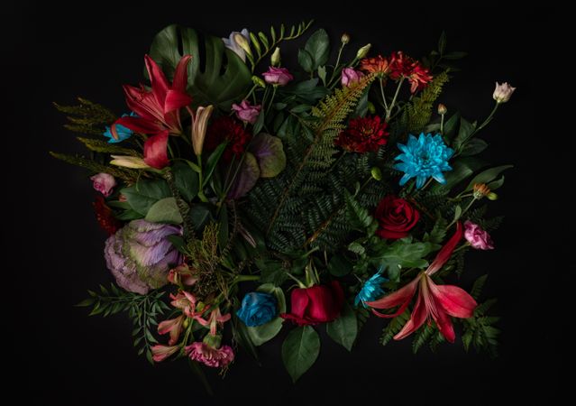 Colorful spring flowers of red, blue, pink, cream on dark background