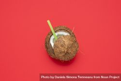Coconut isolated on a red background 4drzE0