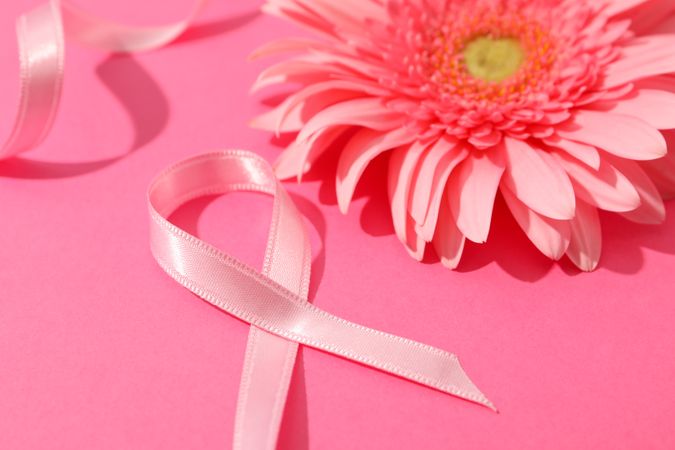 Pink awareness ribbon and gerbera on color background, space for text.