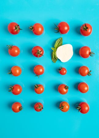 Set of assorted tomatoes and mozzarella