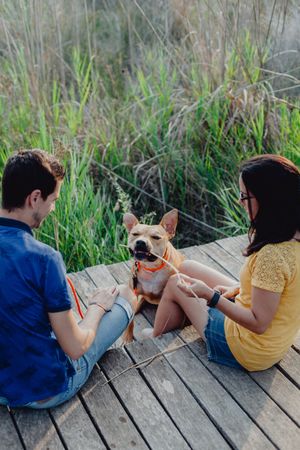 Cheerful adult couple playing with dog at countryside