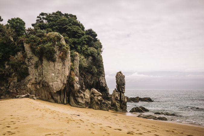 Sandy beach and green forest in Pancake Rocks