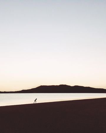 Silhouette of person standing on beach