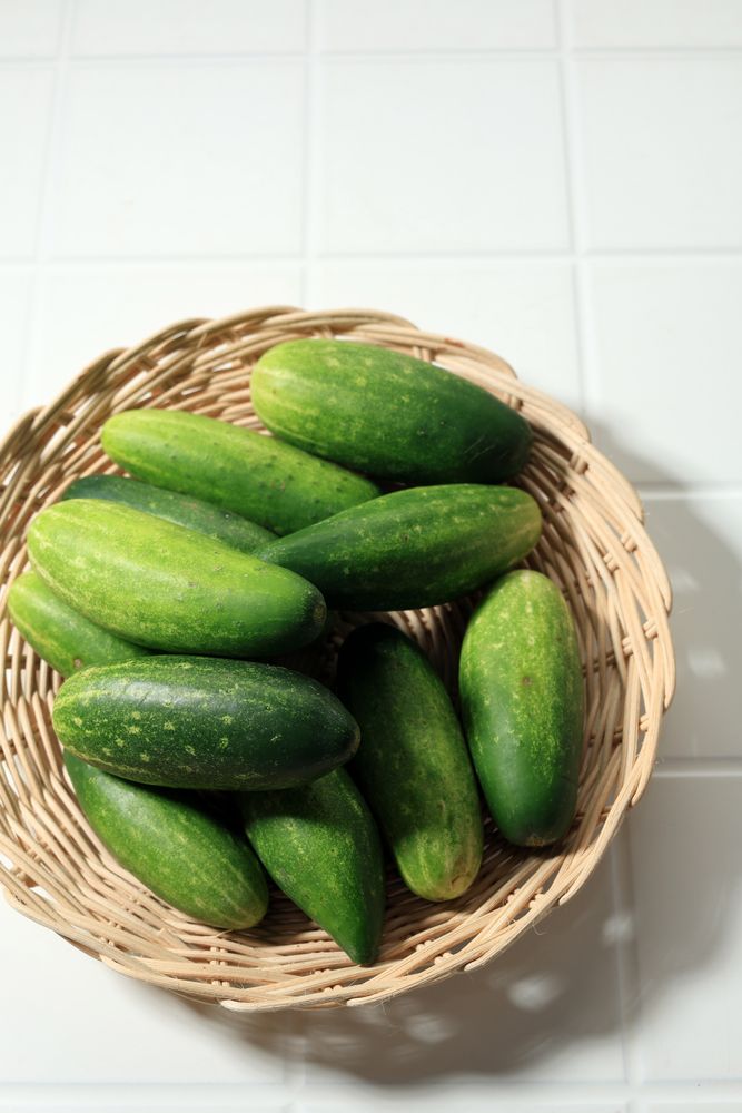 Small Cucumber on Bamboo Plate
