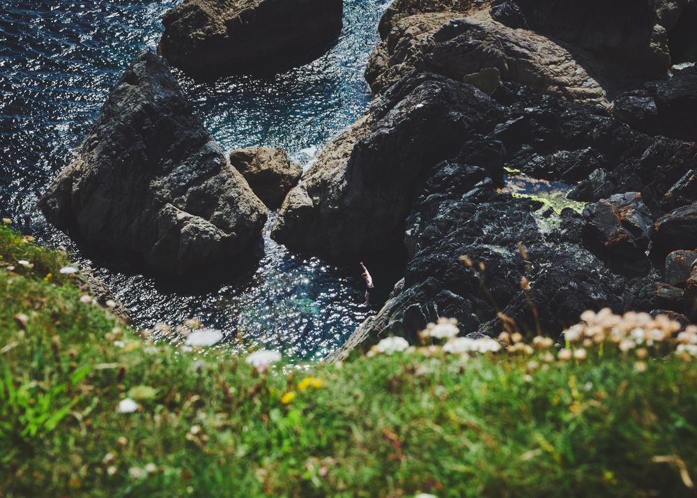 Shot looking down at rocks in the sea from a green cliff
