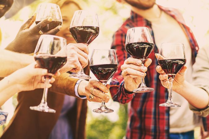 Friends raising wine glasses toasting and celebrating friendship together