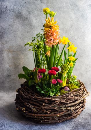 Large nest with colorful flowers