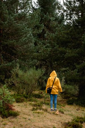 Person in hood and yellow raincoat walking i forest