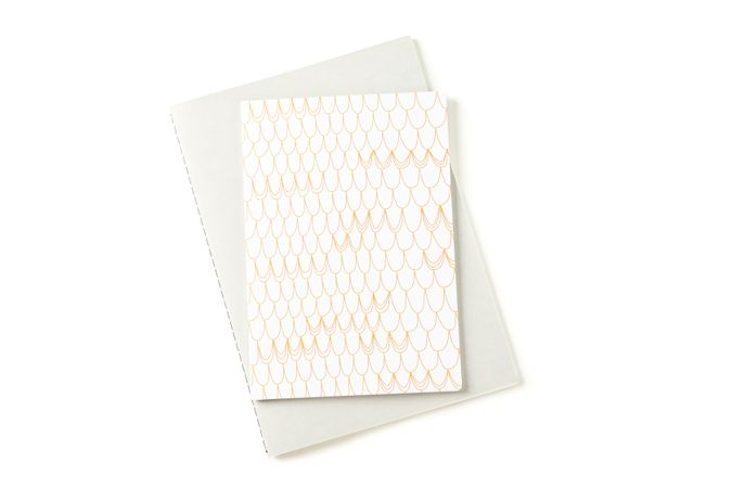 Notebooks isolated on plain background, top view