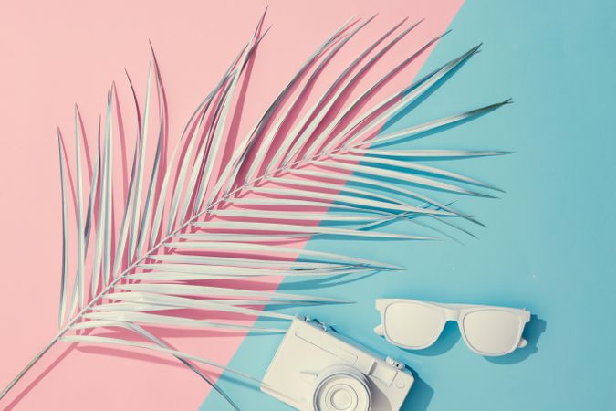 Tropical painted leaves, sunglasses and camera on pink and blue background