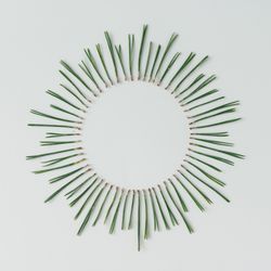 Pine needles in circle