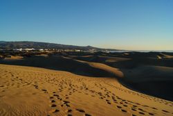 Sandy dunes with traces in sunlight