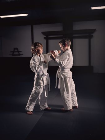 Boys practicing Krav Maga in studio