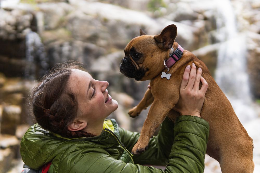 Cheerful traveling woman with dog near waterfall in forest