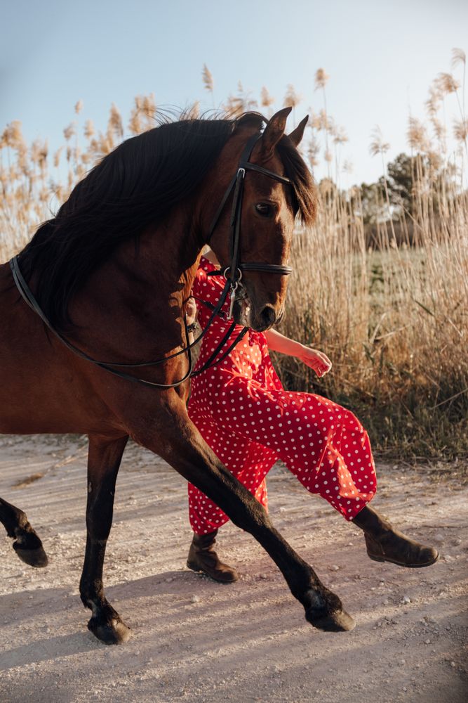 Anonymous female walking with horse