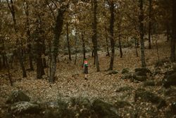 Woman in red fox mask walking in forest