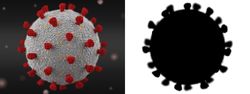 Microscope view of COVID-19 virus