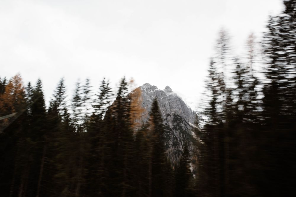 Big mountains near pine forest on cloudy weather