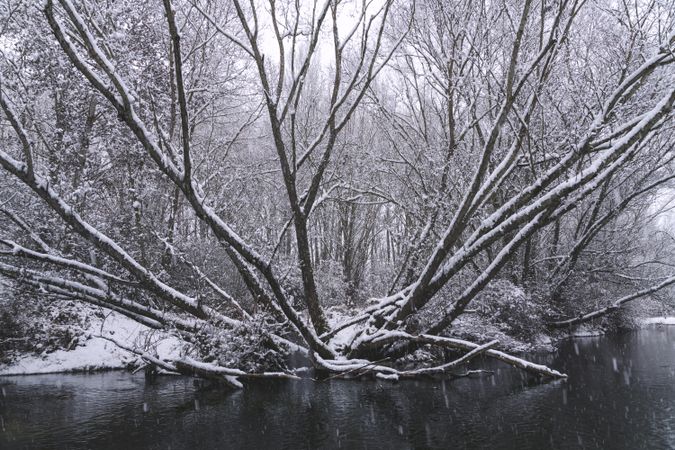 River streaming between snow forest
