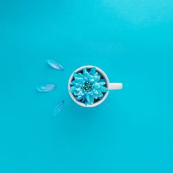 Top view of blue flower in mug