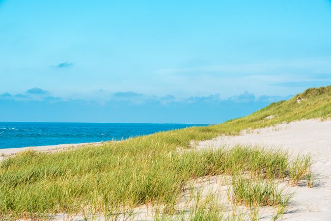 Landscape with marram grass dunes and the North Sea, on Sylt island, Germany