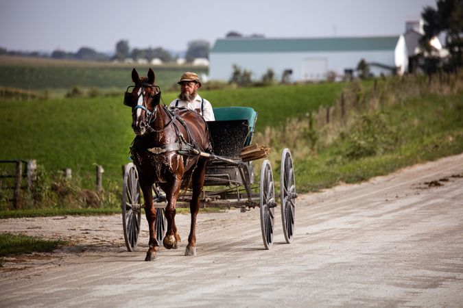 An Amish or Mennonite man, with horse cart, Washington County, Iowa