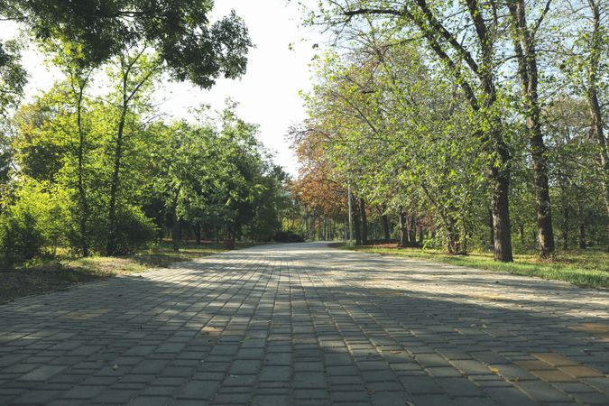 Beautiful city park in bright sunny morning