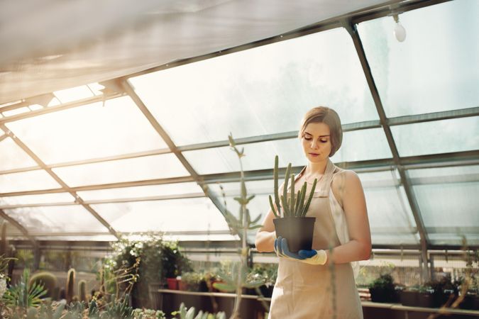 Beautiful young woman in plant nursery holding cactus