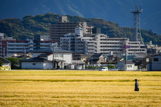Man standing in wheat field near buildings in Itoshima, Fukuoka, Japan
