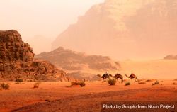 Man riding camels on brown sand near rock formation 4OZKL5