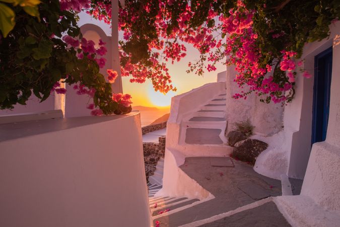Pink flowers framing sunset along stair walk ways