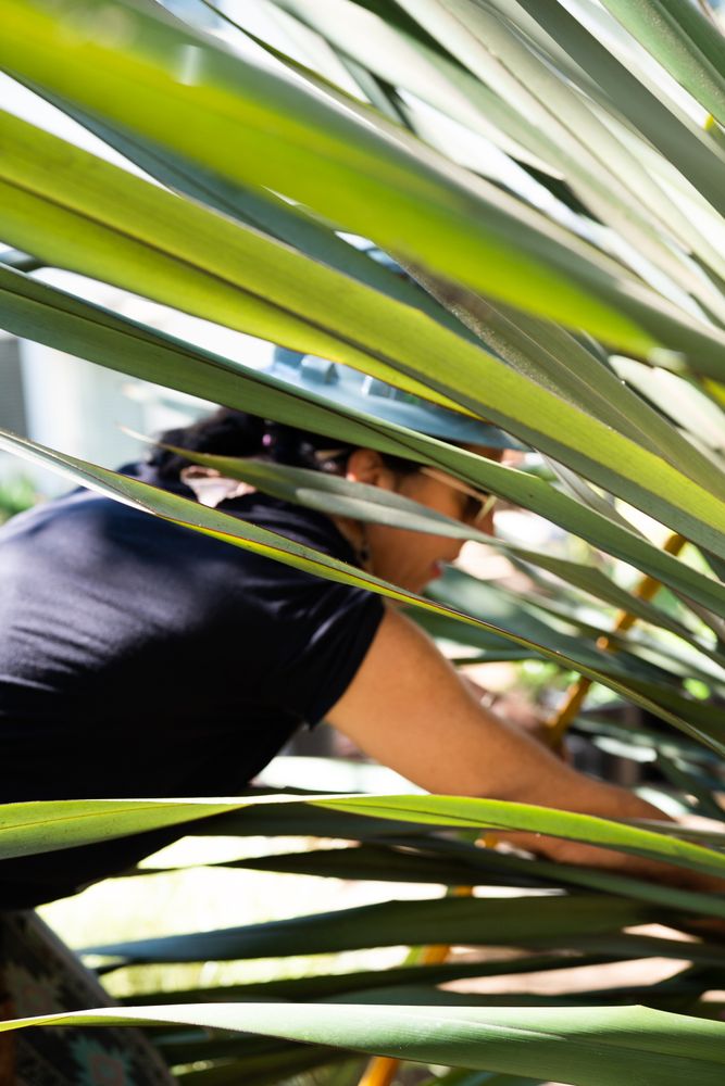 Woman working with cactus outside