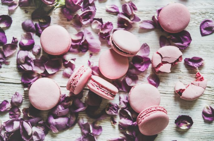 Flat-lay of sweet pink macaron cookies and purple petals