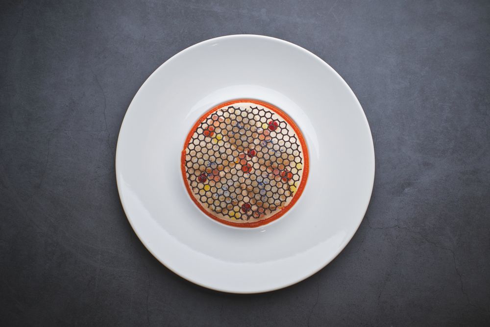 Delicious squid carpaccio with elegant squid ink grating
