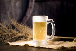 Beer glass with blurred branch