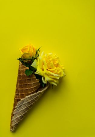 Yellow roses in waffle cone