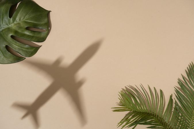 Flat lay of green leaves with shadow of airplane