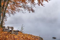 Benches on a foggy lake shore in autumn decor