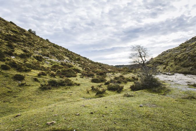 Green hill meadow valley
