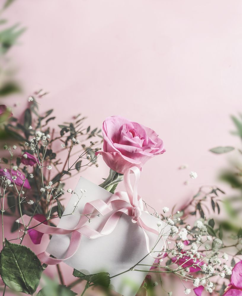 greeting card with ribbon and rose flowers at pink background with green leaves frame