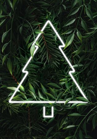 Festive tree outline in light on background of green eaves