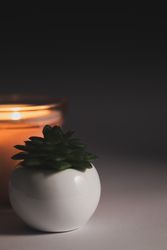Minimal candle with potted flower