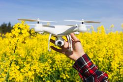 Technician holding an agriculture drone to control rapeseed crop