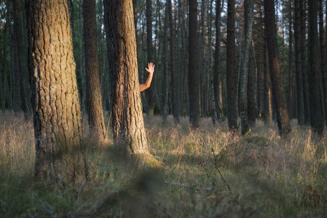 Adult man waving with hand behind tree